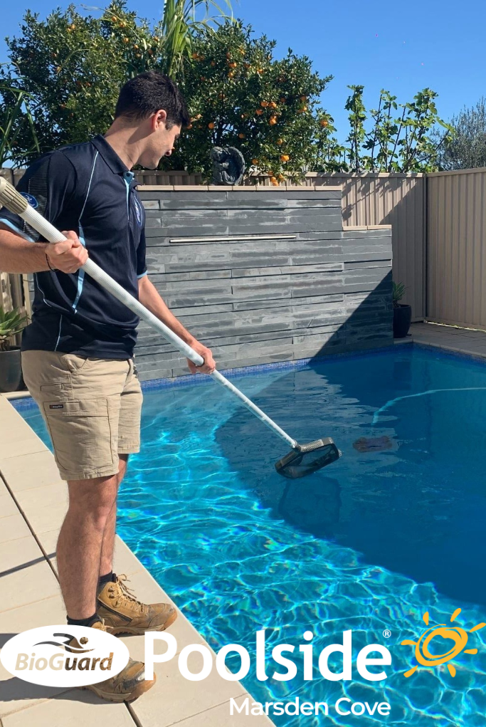 Poolside Marsden Cove pool-service